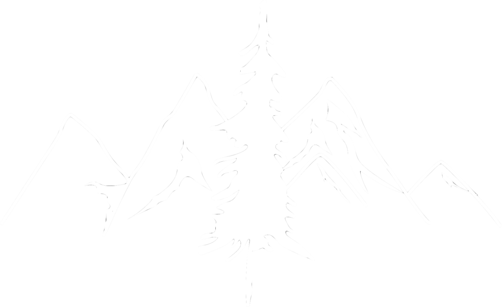 Kopie Von Dein Abschnittstext 2 1024x626